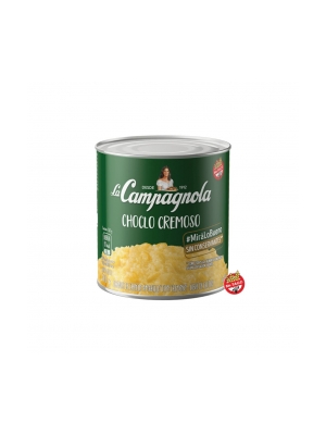 Choclo