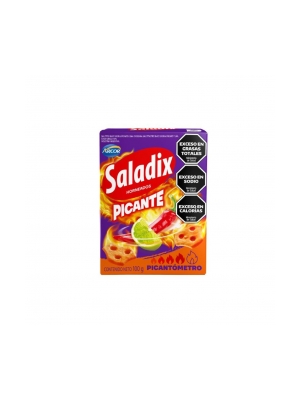 Saladix
