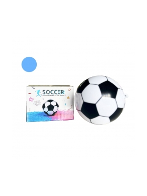 Pelota